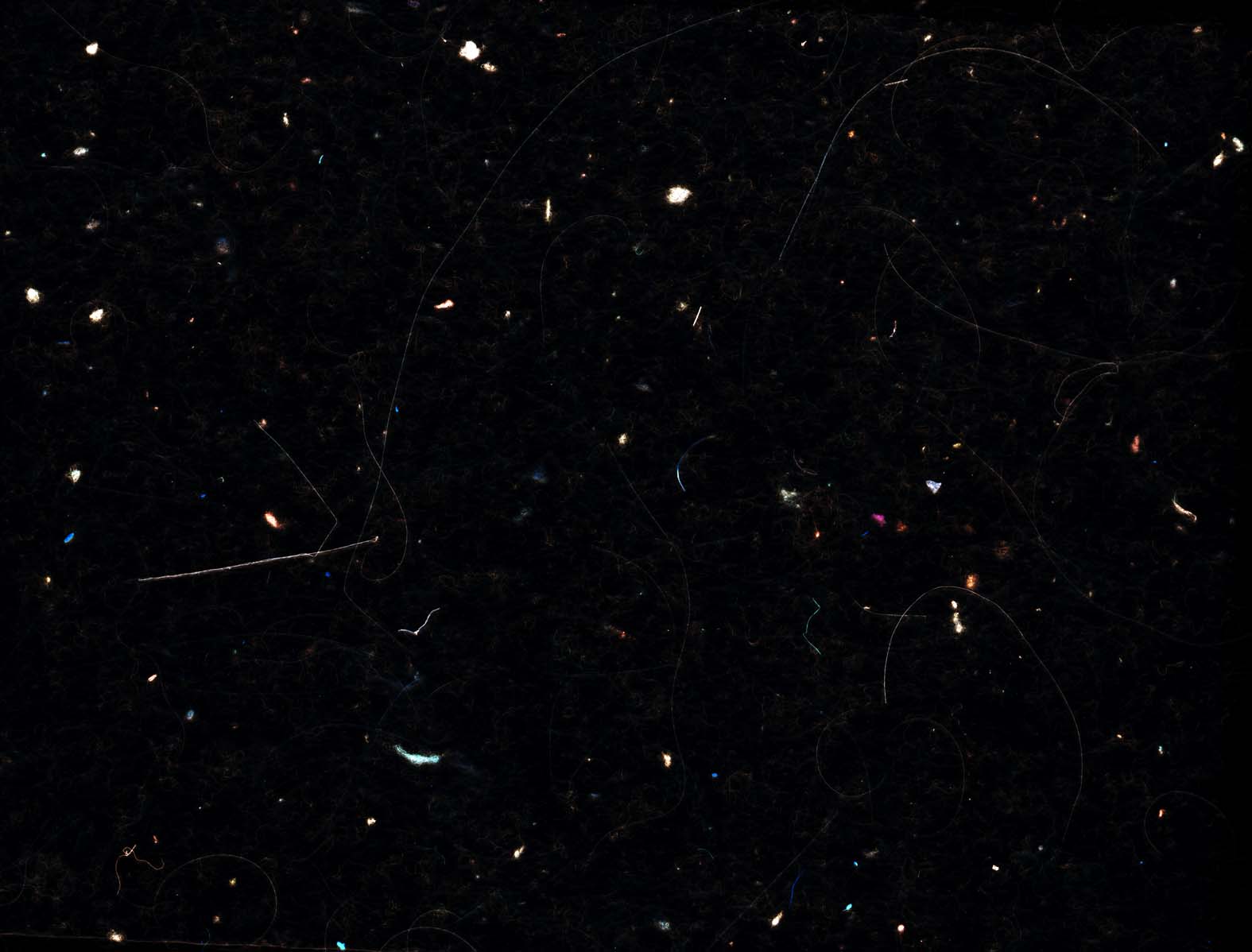 The Inequalities in the Motion of the Stars, 2008