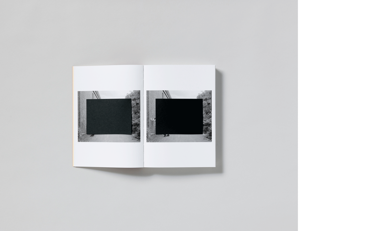 Book Launch: What Photography & Incarceration have in Common with an Empty Vase